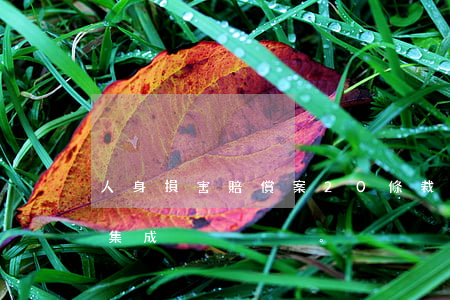 人身損害賠償案20條裁判規(guī)則集成。